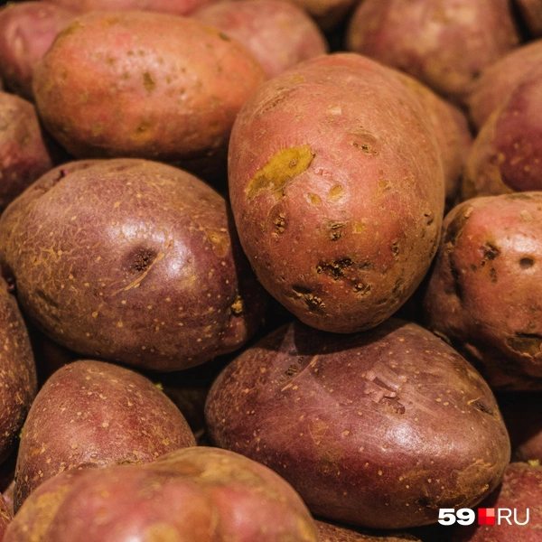Этот картофель продают по 180 рублей за килограмм | Источник: Тимофей Калмаков / 59.RU