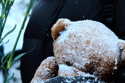Школьник погиб под бревном в Арсеньеве