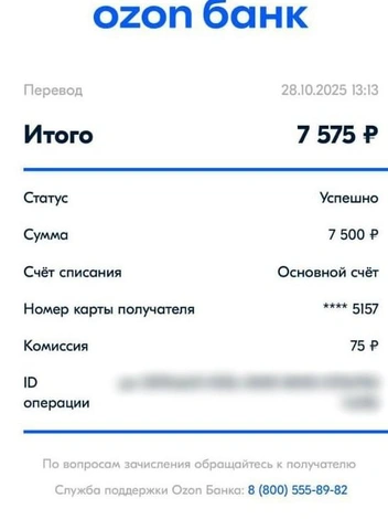 Мама школьника еще и оплатила комиссию за перевод | Источник: читательница E1.RU