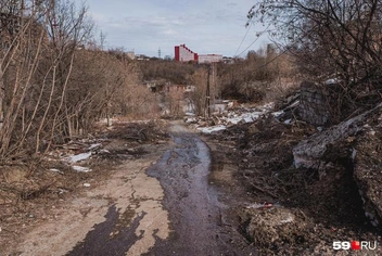 Вид на реку в 2019 году | Источник: Тимофей Калмаков