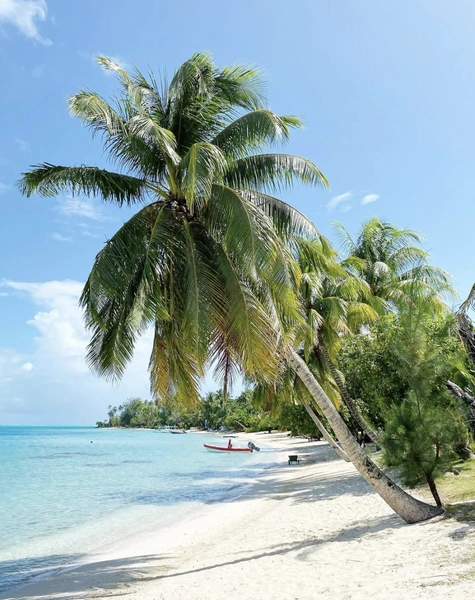 путешествия, поездки, про путешествия, туризм, карта путешествий, маршрут путешествия | Источник: theDay/социальные сети