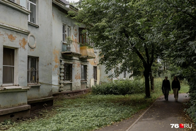 Прохожие гуляют в тени густых деревьев | Источник: Александр Куренной / 76.RU