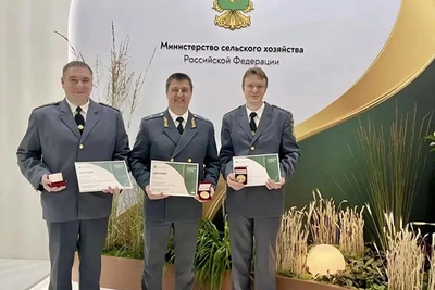 Три золота для Липецкой области