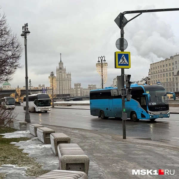 Автобусы едут по пустым дорогам | Источник: Артем Устюжанин / MSK1.RU
