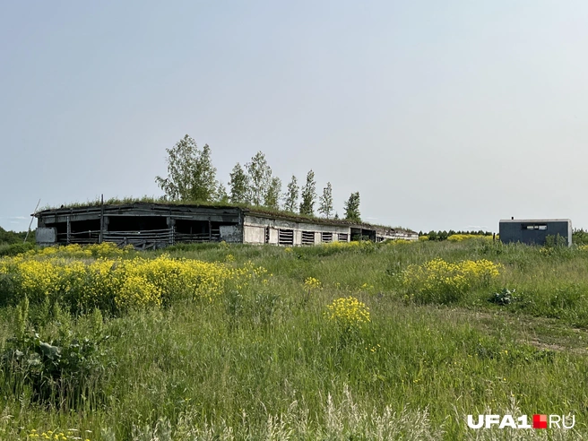 Атмосфера постапокалипсиса | Источник: Андрей Бирюков / UFA1.RU