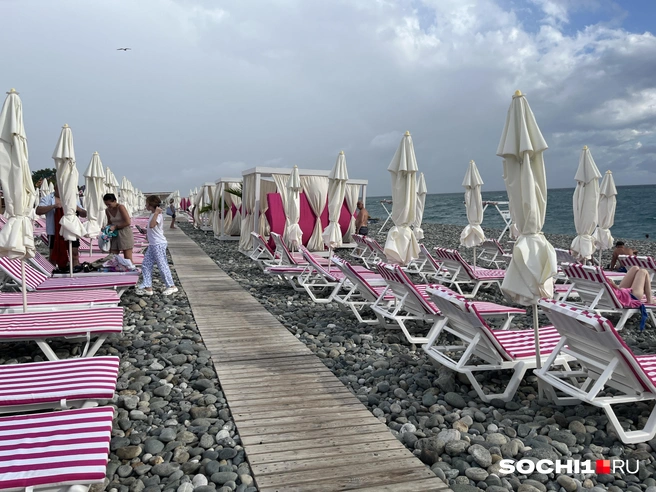 Самые стойкие купаются и даже загорают  | Источник: Анна Грицевич / SOCHI1.RU