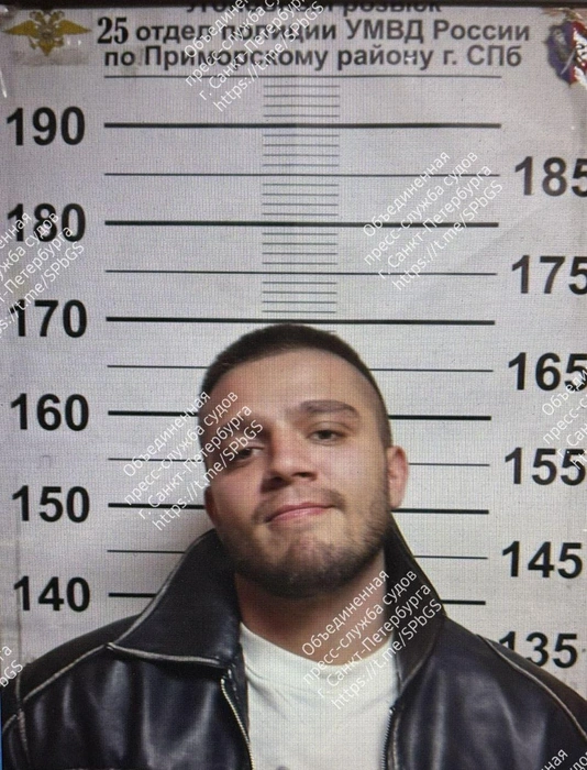 Боец поп-MMA Ядуллаев получил сутки ареста в суде Петербурга и ушел домой  | Источник: Объединённая пресс-служба судов Санкт-Петербурга