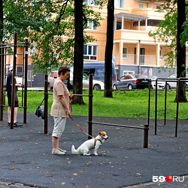 Сюда приходят с питомцами | Источник: Ирина Тропина / 59.RU