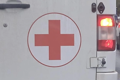 Third person dies from 'mouse fever' in Ulyanovsk Region