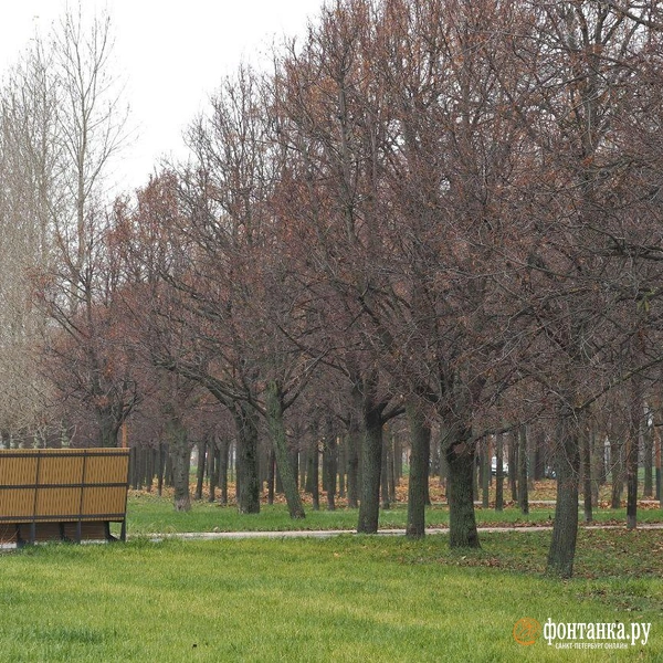 Источник: Михаил Огнев / «Фонтанка.ру»