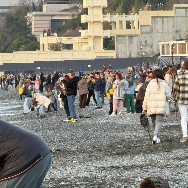 У воды — очень тесно | Источник: Любимый Сочи /telegram