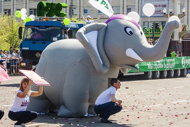 Источник: Ксения Зимина