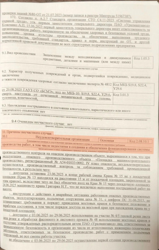 Несчастный случай несколько месяцев расследовала комиссия Ростехнадзора | Источник: предоставлено Еленой Григорян