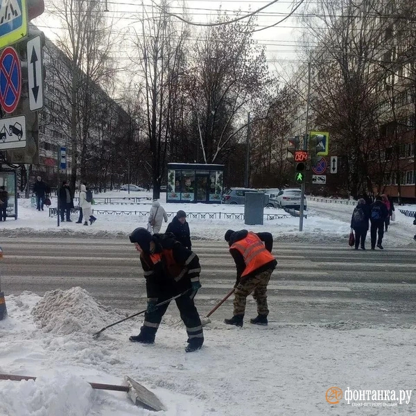 Источник: Комитет по благоустройству