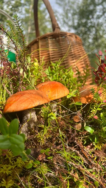 Источник: Анастасия Касьянова