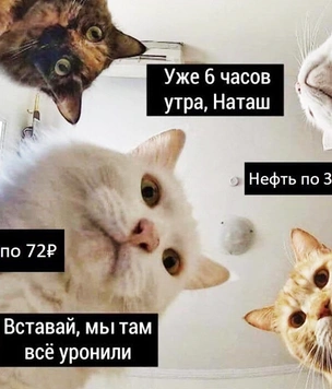 Устаревшие мемы, от которых нужно избавиться, и мемы на все времена