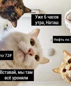 Устаревшие мемы, от которых нужно избавиться, и мемы на все времена