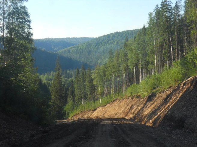 Дорога на Красивую Поляну | Источник: NataljaMT / wikimedia.org