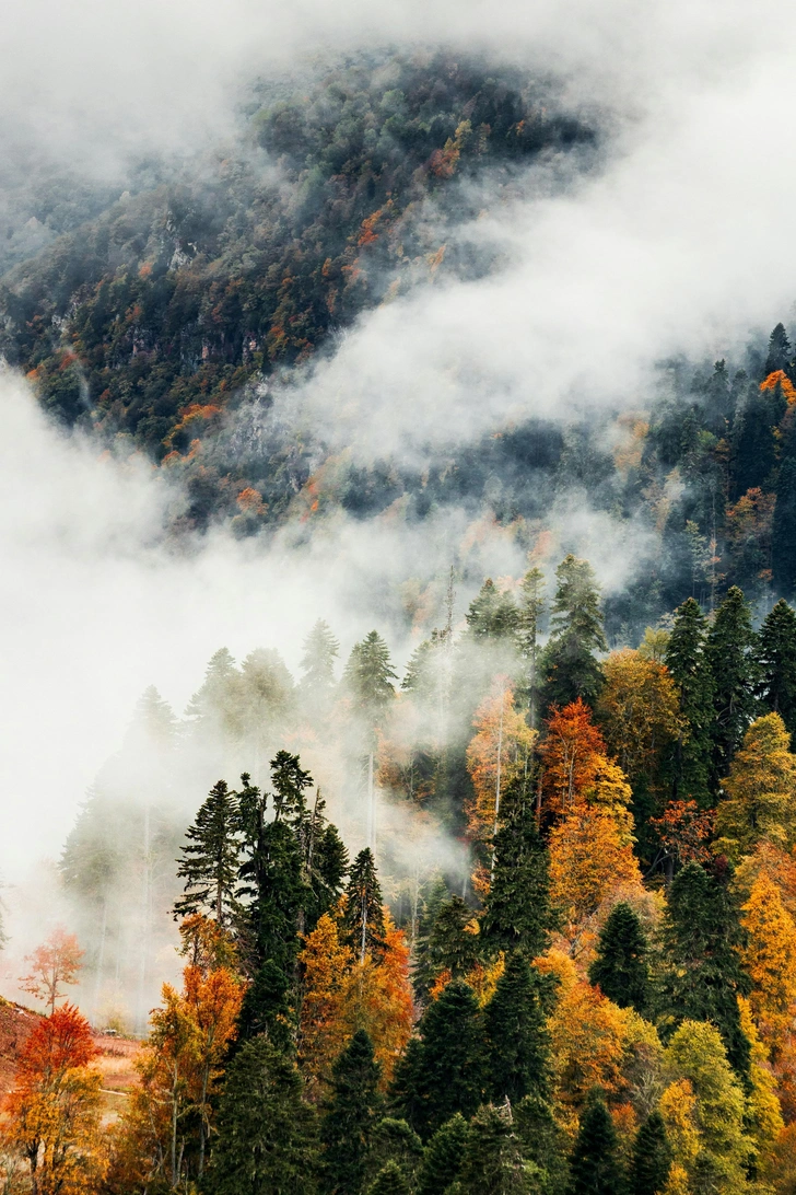 Источник: Кирилл Михайлюк/ Unsplash