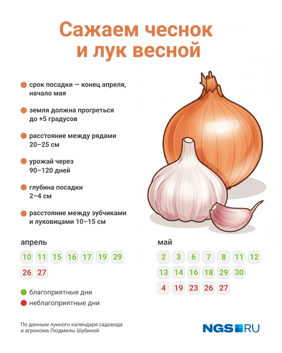 Весна в этом году позволит посадить все немного раньше | Источник: Юрий Орлов / Городские медиа
