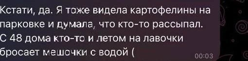 Кроме картошек, бросают и мешочки с водой, припомнили жители | Источник: читатель 74.RU