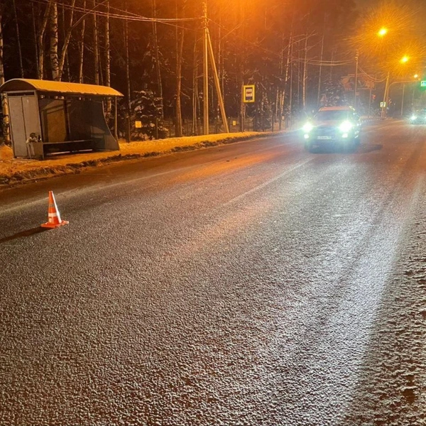 Легковушка насмерть сбила пенсионера во Всеволожском районе Ленобласти. Мужчина перебегал дорогу | Источник:  ГУ МВД России по г. Санкт-Петербургу и Ленинградской области