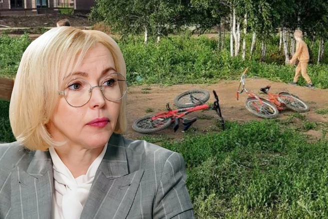 Ирина Гехт заявила о начале служебной проверки | Источник: Елена Смородина, Илья Бархатов, Полина Авдошина (коллаж)