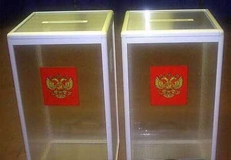 Пьяная москвичка нарушила ход выборов в Сараевском районе | ya62.ru