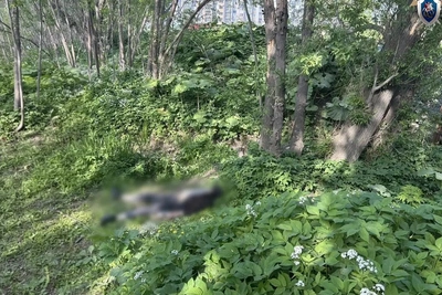 В Южно-Сахалинске нашли тело мужчины у остановки «Кинопрокат»
