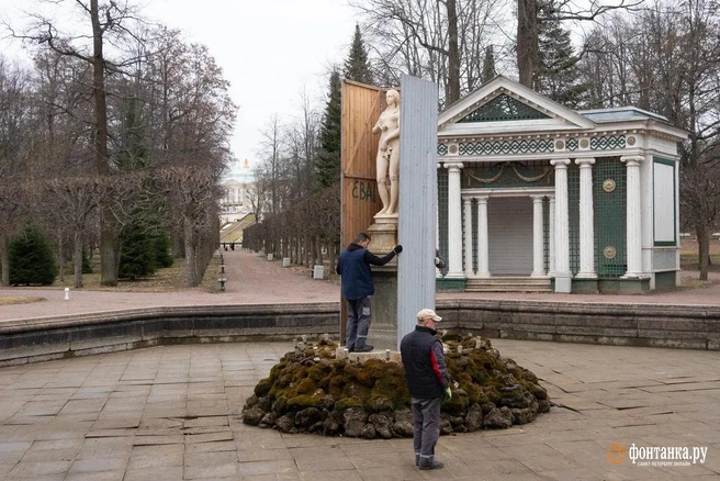 В Петергофе — технический пуск воды. Как сейчас выглядят фонтаны и скульптура после зимы | Источник: Сергей Николаев / «Фонтанка.ру»