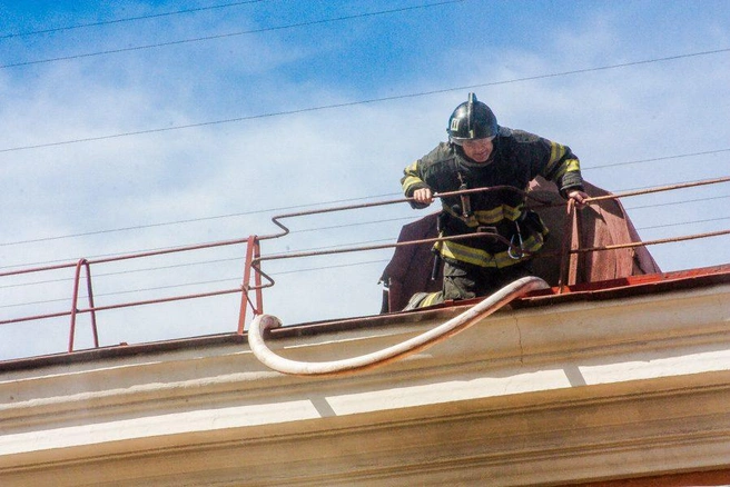 Источник: Ксения Зимина