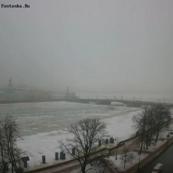 Источник: супервидовые камеры «Фонтанки»/«(От)Личный Петербург»