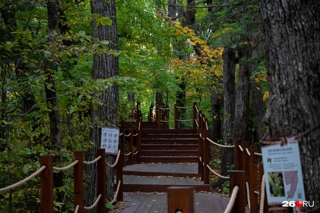 Школьники нашли предмет, похожий на гранату | Источник: Елена Буйвол / VLADIVOSTOK1.RU