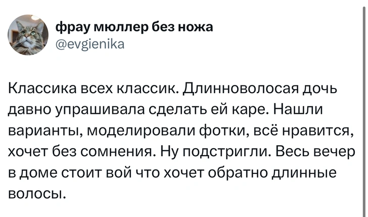 Источник: X (Twitter)