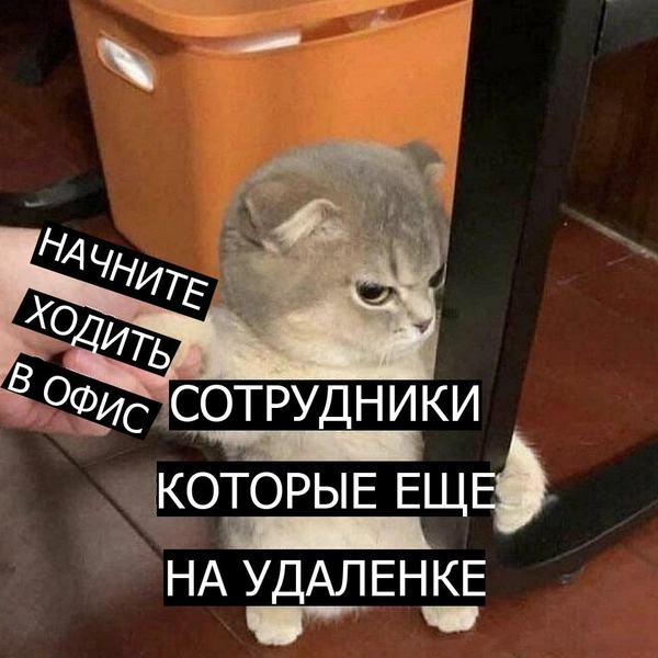 Источник: соцсеть