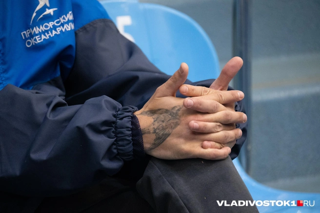 Источник: Елена Буйвол / VLADIVOSTOK1.RU
