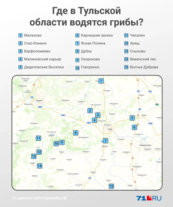 В этих местах грибов традиционно больше всего | Источник: Мария Романова / Городские порталы