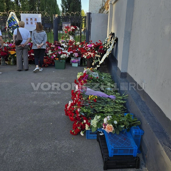 Источник: Ирина Булгакова / Voronezh1.ru