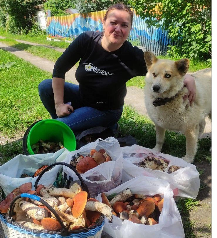 Тюменка рассказала о грибах и о том, какие правила важно соблюдать в лесу  | Источник: Ольга Николаева 