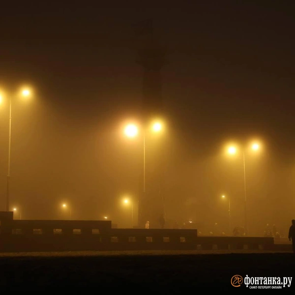 Источник: Марина Мамонтова / «Фонтанка.ру»