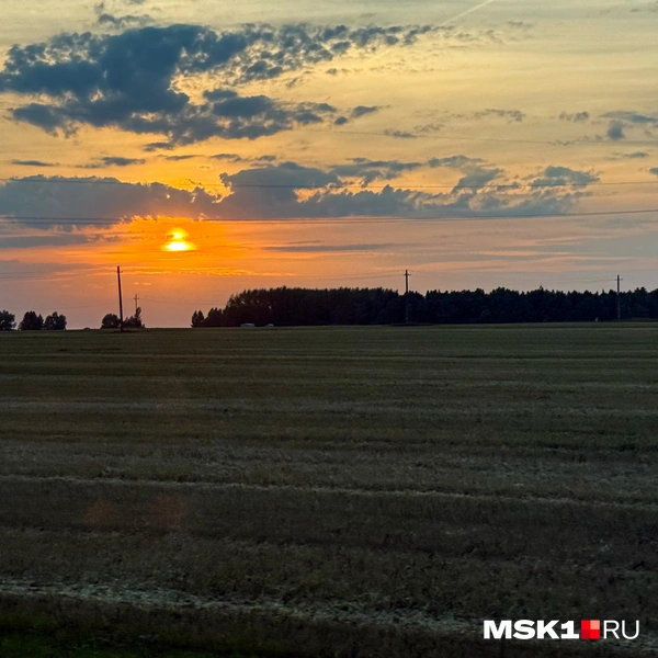 Источник: Артем Устюжанин / MSK1.RU