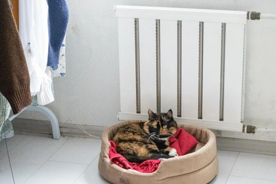 В Рязани отключили отопление в десятках домов, школах и садах