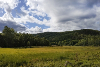 Экс-замминистра лесного комплекса Приангарья предстанет перед судом