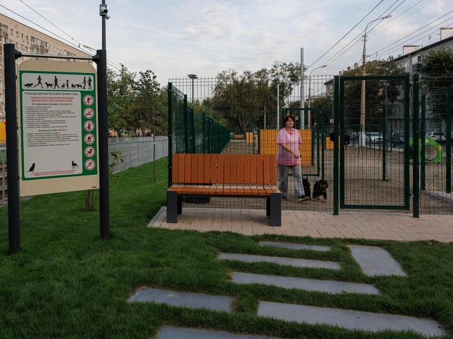 Именно там, за высокими решетчатыми заборами, предлагается выгуливать собак, кошек и прочих братьев меньших | Источник: Алексей Волхонский / V1.RU