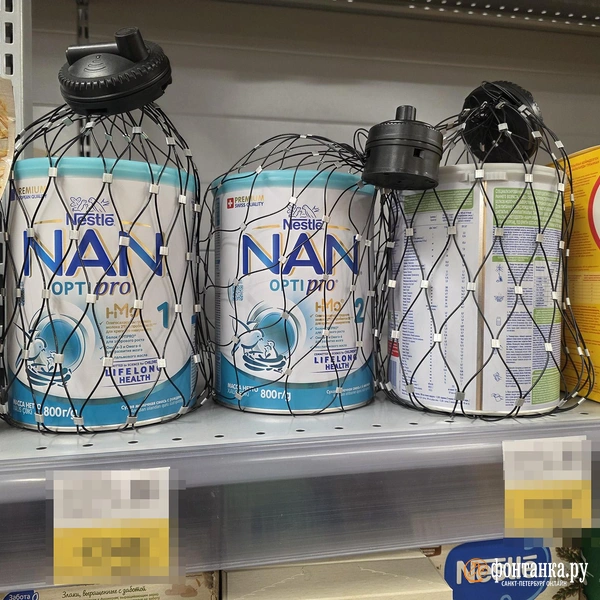 Источник: Наталья Вязовкина / FONTANKA.RU