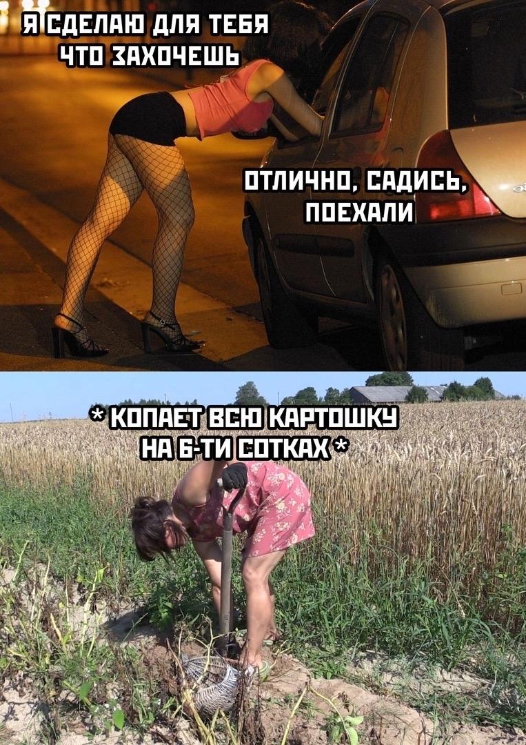 Время собирать урожай :-)) Здравствуйте, уважаемые, Приятного, времени, суток