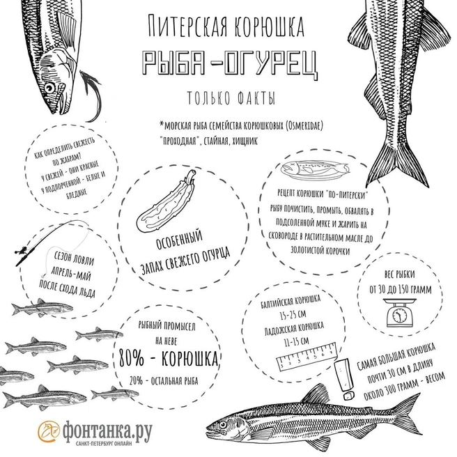 Источник: «Фонтанка.ру»