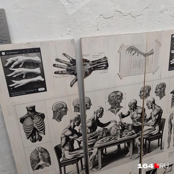 Источник: Сергей Гендин / 164.RU