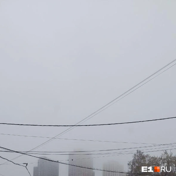 Источник: Читатель E1.RU