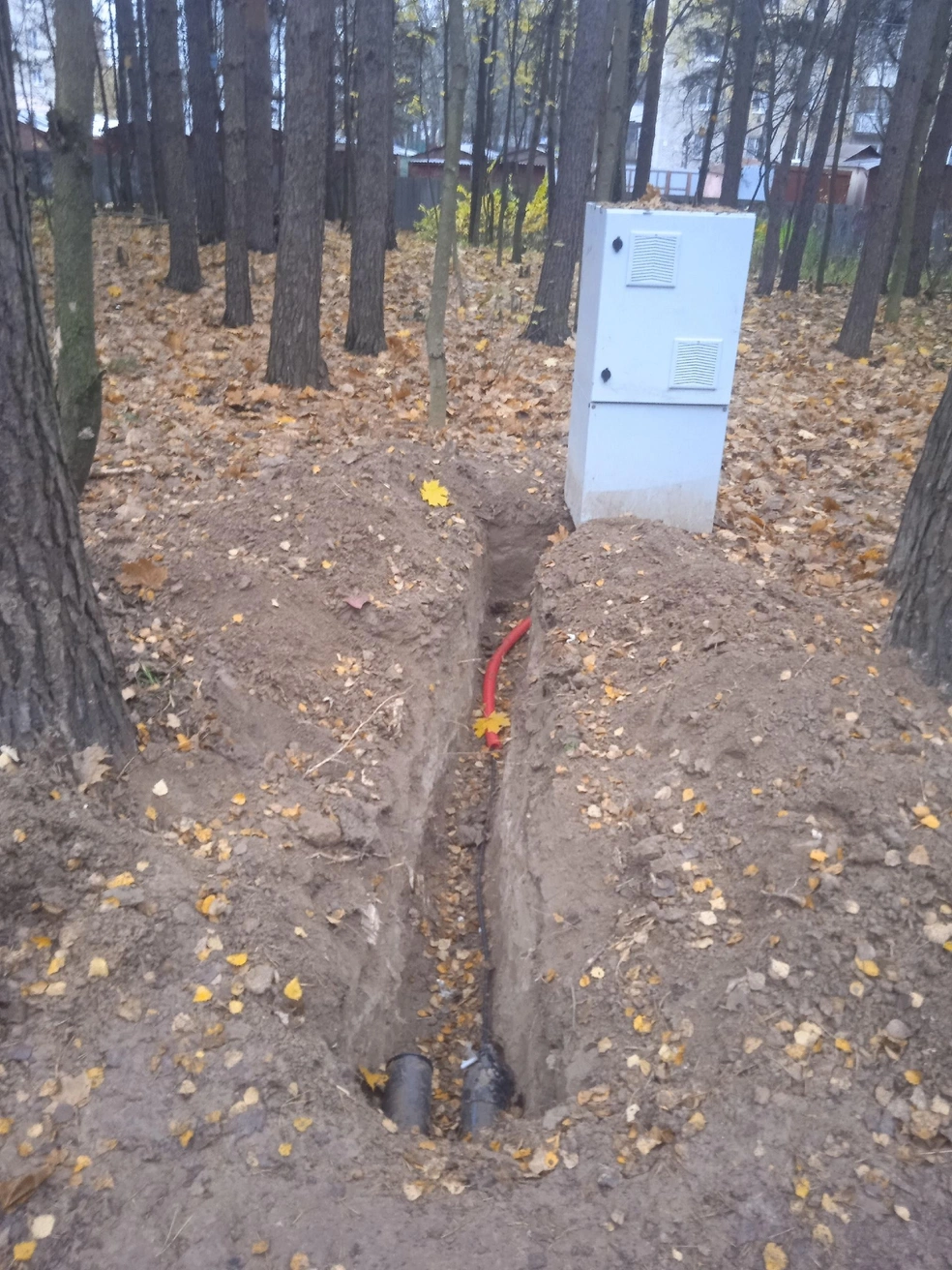 Остатки траншеи в Супоневском лесопарке. Местные утверждают, что делали фото в ноябре | Источник: Максим Сорокин / Общественное движение «Наш Звенигород»